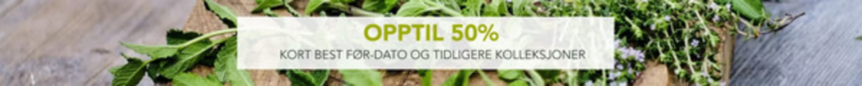 Oliviers & Co-katalog i Frosta | Oliviers & Co Promo | 2026-10-23T00:00:00.000Z - 2026-11-06T00:00:00.000Z