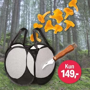 Tanum-katalog i Oslo | Kun 149,- | 2025-07-30T00:00:00.000Z - 2025-08-13T00:00:00.000Z