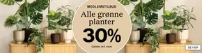Kremmerhuset-katalog i Tromsø | 30% | 2025-07-30T00:00:00.000Z - 2025-08-03T00:00:00.000Z