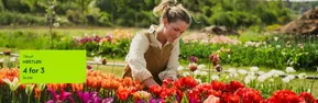 Hageland-katalog i Mo i Rana | 4 For 3  | 2025-09-11T00:00:00.000Z - 2025-09-25T00:00:00.000Z