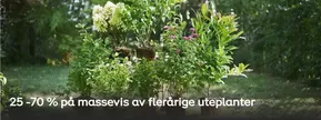 Plantasjen-katalog | 25-70% på massevis av flerårige uteplanter | 2025-09-12T00:00:00.000Z - 2025-09-26T00:00:00.000Z