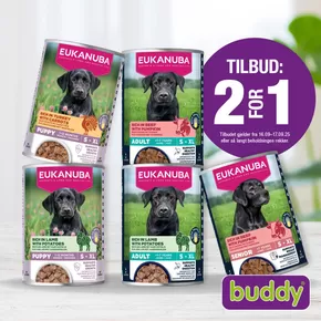Buddy-katalog i Sandnes | 2 for 1 | 2025-09-16T00:00:00.000Z - 2025-09-17T00:00:00.000Z