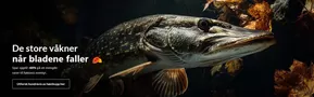 Skitt fiske-katalog i Revetal - Bergåsen | De store våkner når bladene faller | 2025-10-02T00:00:00.000Z - 2025-10-16T00:00:00.000Z