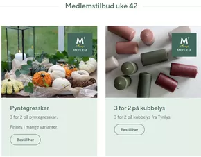 Mester Grønn-katalog | Medlemstilbud uke 42 | 2025-10-13T00:00:00.000Z - 2025-10-19T00:00:00.000Z