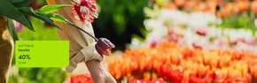 Hageland-katalog i Lillestrøm | 40%  | 2025-10-15T00:00:00.000Z - 2025-10-29T00:00:00.000Z