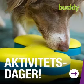 Buddy-katalog i Kopervik | Aktivitetsdager! | 2025-10-22T00:00:00.000Z - 2025-10-25T00:00:00.000Z