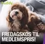 Buddy-katalog i Raufoss | Fredagskos til medlemspris! | 2025-11-07T00:00:00.000Z - 2026-02-28T00:00:00.000Z