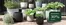 Plantasjen-katalog i Eigersund | Plantasjen Promo | 2026-05-21T00:00:00.000Z - 2026-06-04T00:00:00.000Z
