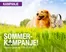 Buddy-katalog | Sommer-Kampanje! | 2026-06-12T00:00:00.000Z - 2026-06-27T00:00:00.000Z