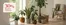 Plantasjen-katalog i Oppaker | Plantasjen Promo | 2026-08-13T00:00:00.000Z - 2026-08-27T00:00:00.000Z
