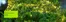 Hageland-katalog | Hageland Promo | 2026-10-15T00:00:00.000Z - 2026-10-29T00:00:00.000Z