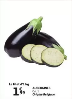 Cat - AUBERGINES