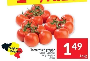 Cat - Tomates en grappe