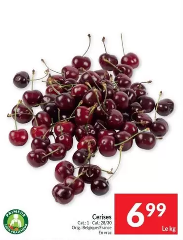 Cat - Cerises