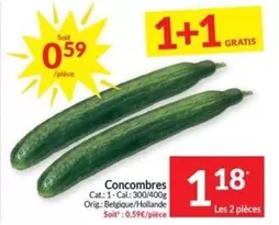 Cat - Concombres