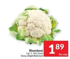 Cat - Bloemkool