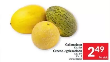 Cat - Galiameloen