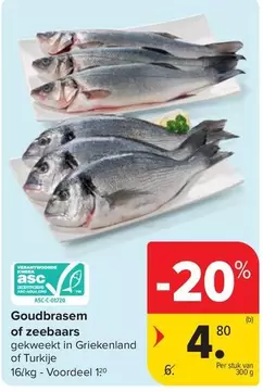 Goudbrasem of zeebaars