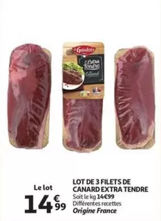 Extra - LOT DE 3 FILETS DE CANARD EXTRA TENDRE