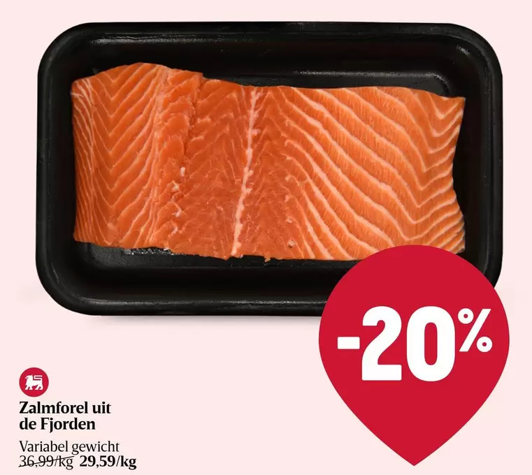 De - Zalmforel uit de Fjorden