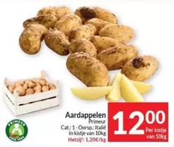 Cat - Aardappelen