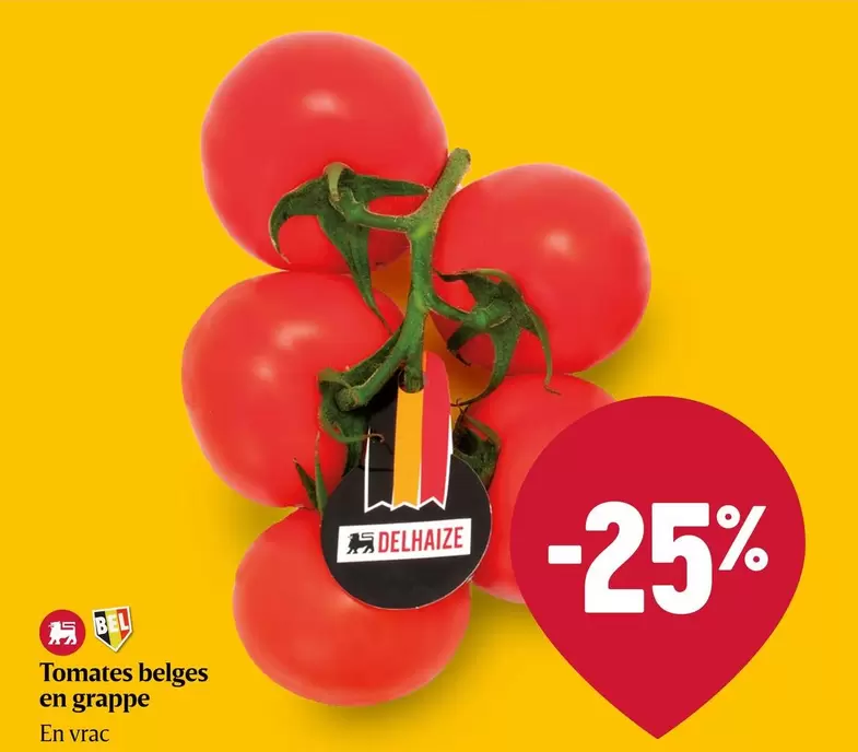 Tomates belges en grappe