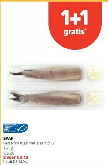 verse maatjes met staart & ui