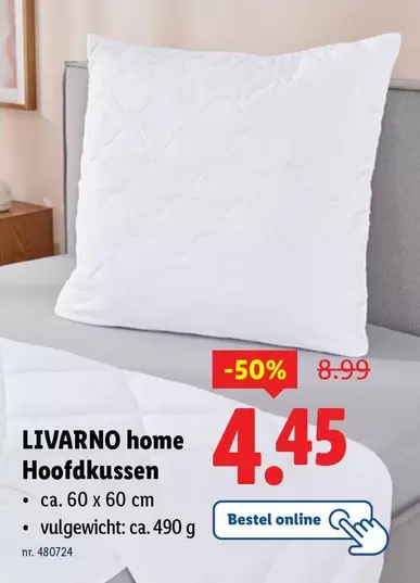Hoofdkussen