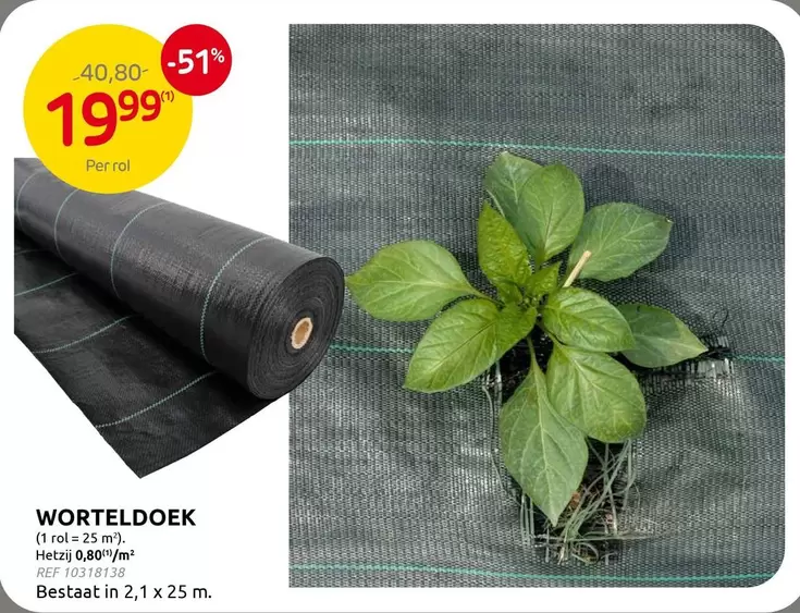 WORTELDOEK