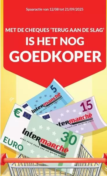 De - MET DE CHEQUES 'TERUG AAN DE SLAG' IS HET NOG GOEDKOPER