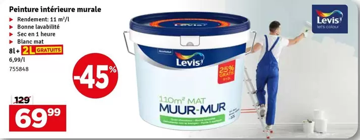 Peinture intérieure murale