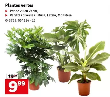 De - Plantes vertes