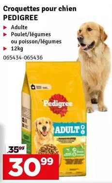 Croquettes pour chien