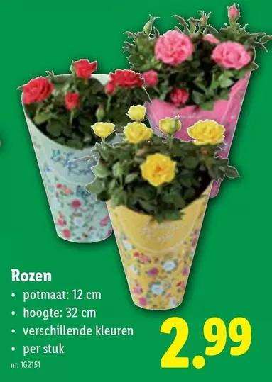 Rozen