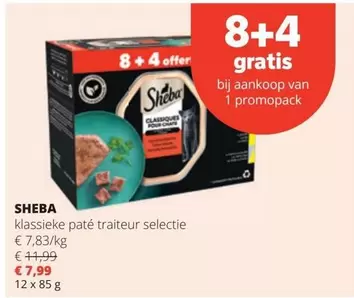 klassieke paté traiteur selectie