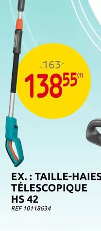 TAILLE-HAIES TÉLESCOPIQUE HS 42