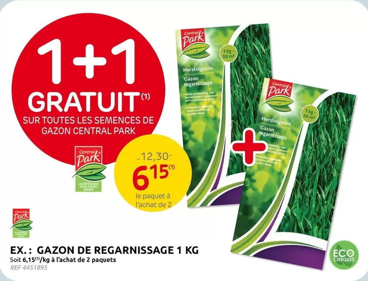 De - GAZON DE REGARNISSAGE