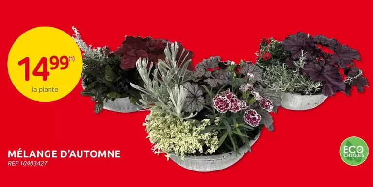 MÉLANGE D'AUTOMNE