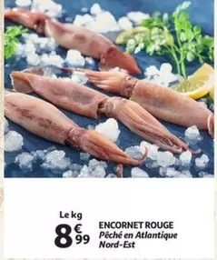 ENCORNET ROUGE
