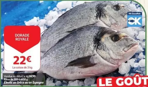 De - DORADE ROYALE