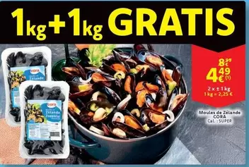 De - Moules de Zélande
