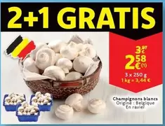 Champignons blancs