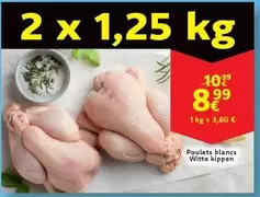 Poulets blancs