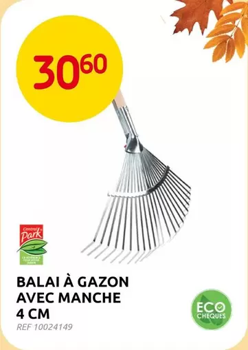 Park - BALAI À GAZON AVEC MANCHE 4 CM