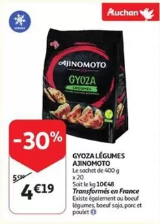 De - GYOZA LÉGUMES