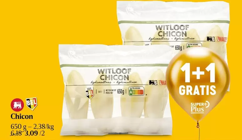 Witloof Chicon