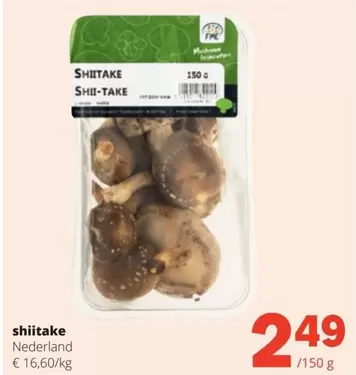 Shiitake