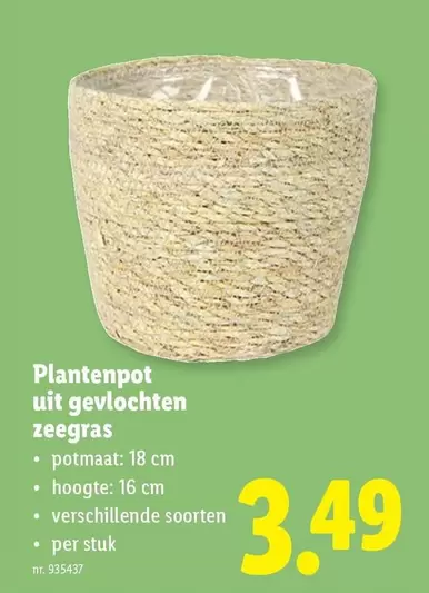 Plantenpot uit gevlochten zeegras
