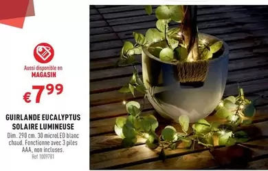 GUIRLANDE EUCALYPTUS SOLAIRE LUMINEUSE