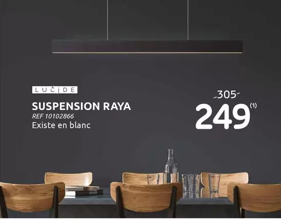 SUSPENSION RAYA